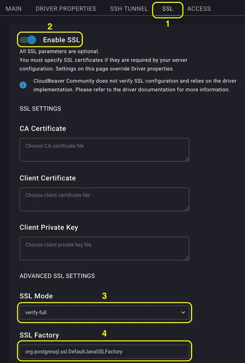 CloudBeaver SSL settings