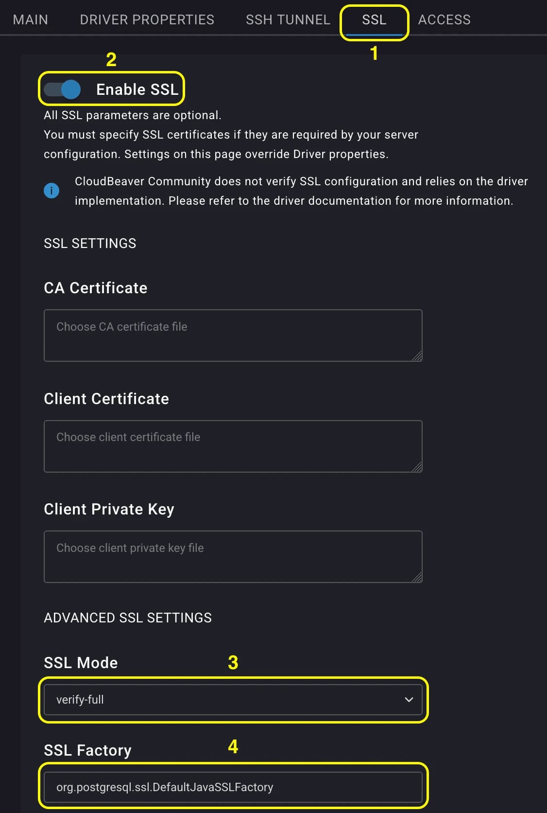 CloudBeaver SSL settings